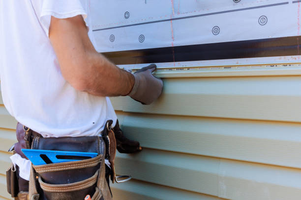 Best Brick Veneer Siding  in Meyersdale, PA